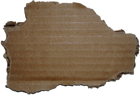 cardboard box